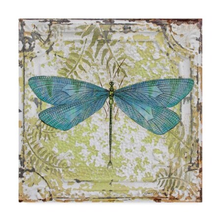 Trademark Fine Art Jean Plout 'Dragonfly On Tin Tile 2' Canvas Art, 14x14 ALI37317-C1414GG